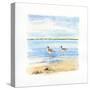 Sandpiper Beach II-Sally Swatland-Stretched Canvas