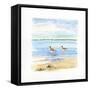 Sandpiper Beach II-Sally Swatland-Framed Stretched Canvas