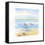 Sandpiper Beach II-Sally Swatland-Framed Stretched Canvas