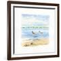 Sandpiper Beach II-Sally Swatland-Framed Art Print