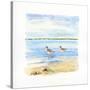 Sandpiper Beach II-Sally Swatland-Stretched Canvas