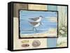 Sandpiper Collage I-Paul Brent-Framed Stretched Canvas