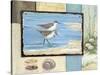 Sandpiper Collage I-Paul Brent-Stretched Canvas