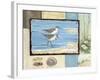 Sandpiper Collage I-Paul Brent-Framed Art Print