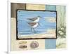 Sandpiper Collage I-Paul Brent-Framed Art Print