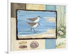 Sandpiper Collage I-Paul Brent-Framed Art Print