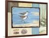 Sandpiper Collage I-Paul Brent-Framed Art Print