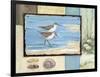 Sandpiper Collage I-Paul Brent-Framed Art Print