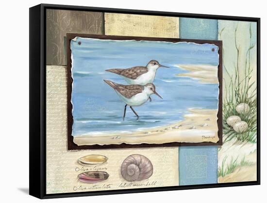 Sandpiper Collage I-Paul Brent-Framed Stretched Canvas