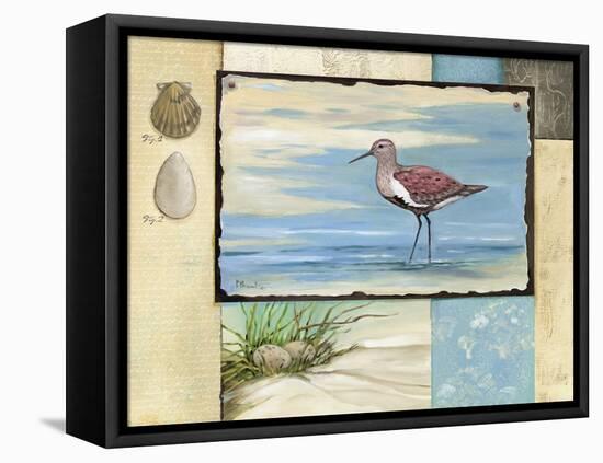 Sandpiper Collage II-Paul Brent-Framed Stretched Canvas