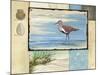 Sandpiper Collage II-Paul Brent-Mounted Art Print