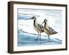 Sandpiper Cove II-Sydney Edmunds-Framed Giclee Print