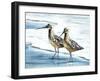 Sandpiper Cove II-Sydney Edmunds-Framed Giclee Print