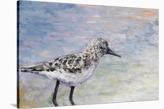 Sandpiper I-Walt Johnson-Stretched Canvas