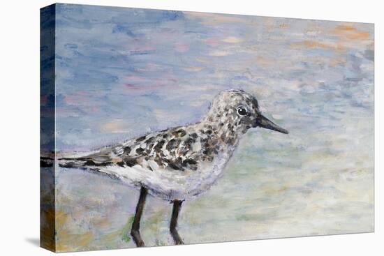 Sandpiper I-Walt Johnson-Stretched Canvas