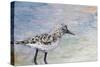 Sandpiper I-Walt Johnson-Stretched Canvas