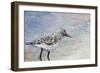 Sandpiper I-Walt Johnson-Framed Art Print