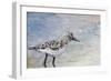 Sandpiper I-Walt Johnson-Framed Art Print