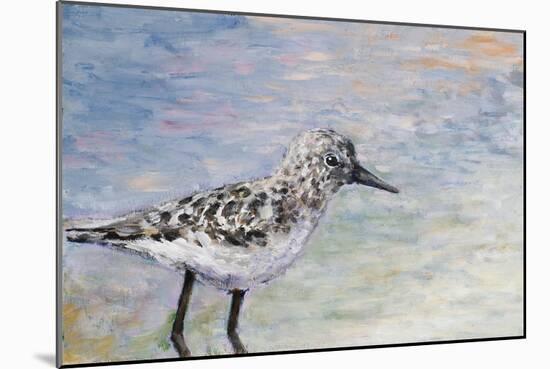 Sandpiper I-Walt Johnson-Mounted Art Print