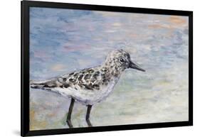 Sandpiper I-Walt Johnson-Framed Art Print