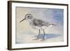 Sandpiper II-Walt Johnson-Framed Art Print