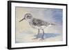 Sandpiper II-Walt Johnson-Framed Art Print