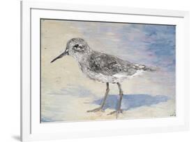 Sandpiper II-Walt Johnson-Framed Premium Giclee Print