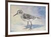 Sandpiper II-Walt Johnson-Framed Premium Giclee Print