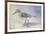 Sandpiper II-Walt Johnson-Framed Premium Giclee Print