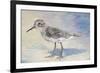 Sandpiper II-Walt Johnson-Framed Premium Giclee Print