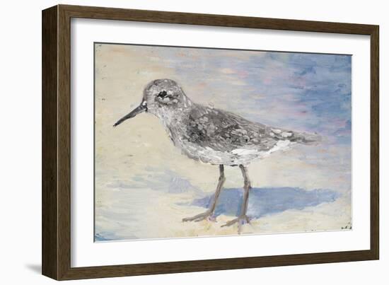 Sandpiper II-Walt Johnson-Framed Art Print