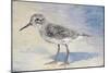 Sandpiper II-Walt Johnson-Mounted Art Print