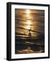 Sandpiper in ocean, California-Zandria Muench Beraldo-Framed Photographic Print