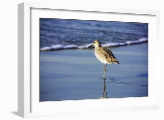 Sandpiper in the Surf I-Alan Hausenflock-Framed Photographic Print