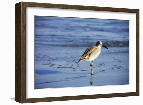 Sandpiper in the Surf II-Alan Hausenflock-Framed Photographic Print