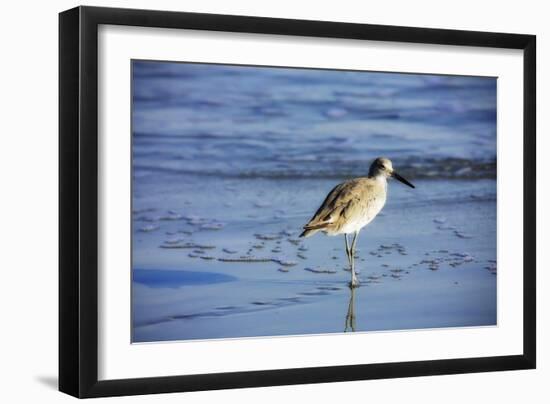 Sandpiper in the Surf II-Alan Hausenflock-Framed Photographic Print