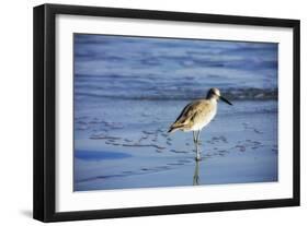 Sandpiper in the Surf II-Alan Hausenflock-Framed Photographic Print