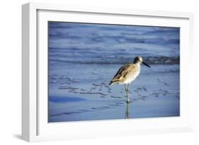 Sandpiper in the Surf II-Alan Hausenflock-Framed Photographic Print