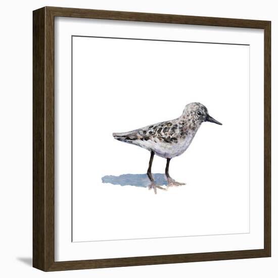 Sandpiper on White I-Walt Johnson-Framed Art Print