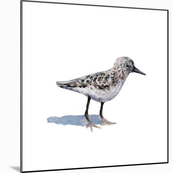 Sandpiper on White I-Walt Johnson-Mounted Art Print