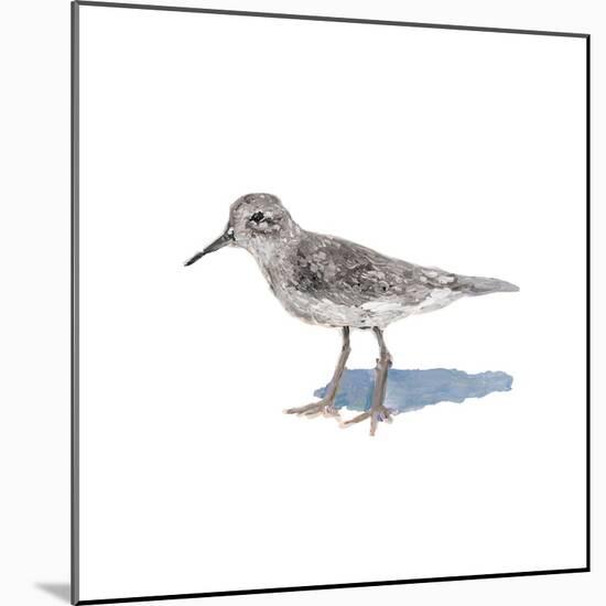 Sandpiper on White II-Walt Johnson-Mounted Art Print