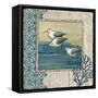 Sandpiper Shore II-Paul Brent-Framed Stretched Canvas