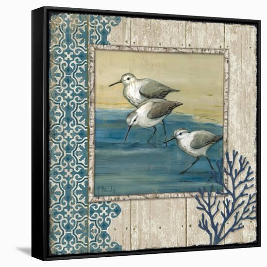 Sandpiper Shore II-Paul Brent-Framed Stretched Canvas