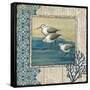 Sandpiper Shore II-Paul Brent-Framed Stretched Canvas