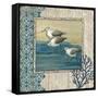 Sandpiper Shore II-Paul Brent-Framed Stretched Canvas