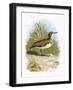 Sandpiper-English-Framed Giclee Print