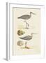 Sandpipers & Eggs I-Morris-Framed Art Print