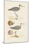 Sandpipers & Eggs I-Morris-Mounted Art Print