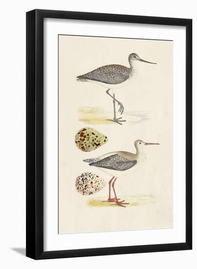 Sandpipers & Eggs I-Morris-Framed Art Print