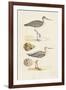 Sandpipers & Eggs I-Morris-Framed Art Print